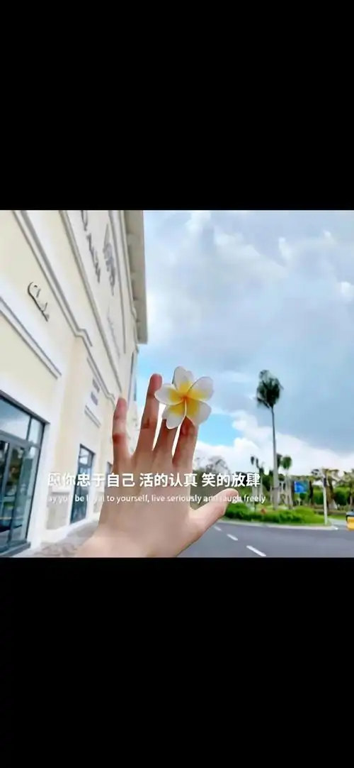 文字图片图片心情