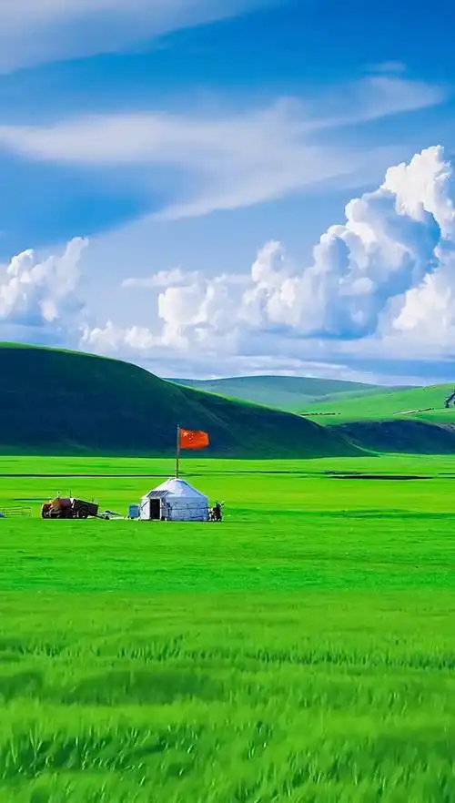 再来一个草原绿,太漂亮了,绿色代表健康,除了帽子#绿色