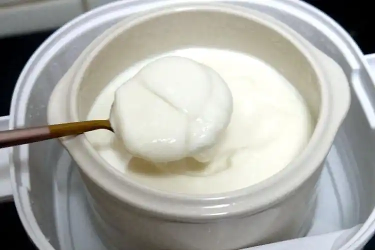 电炖锅食谱分享,三种美食换着花样做,小厨具也有大用处|红枣|电炖锅|