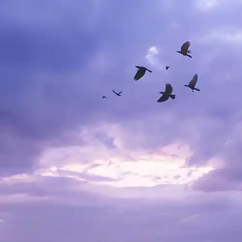 紫色背景图__财经头条