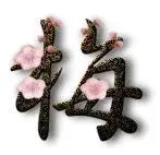 谁给我个梅二字做qq头像