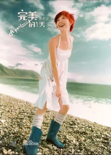 有没有好心人帮我找找偶滴孙燕姿滴红毛丹的图片啊~先谢了哦