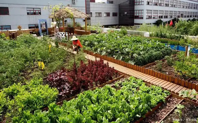 章继刚:小菜园怎样变成花园式创意新空间