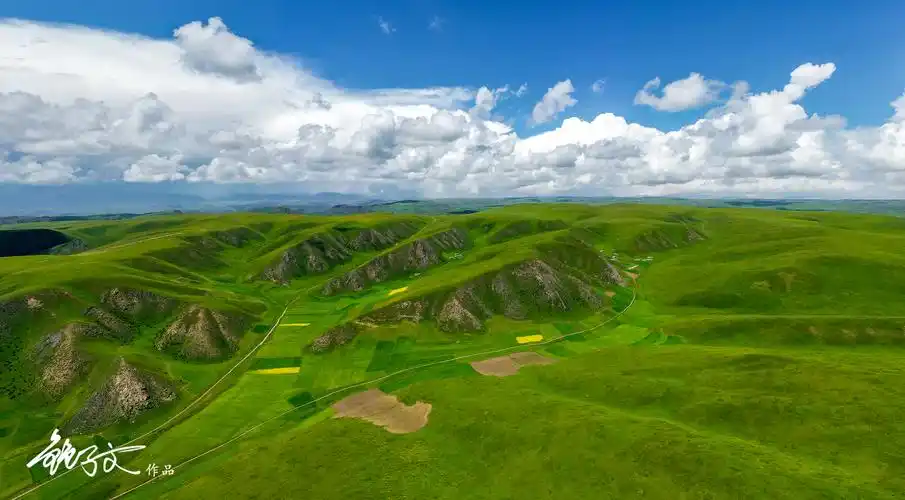 1/ 12 美仁大草原位于甘肃省合作市东,这里是青藏高原特有的高山草甸