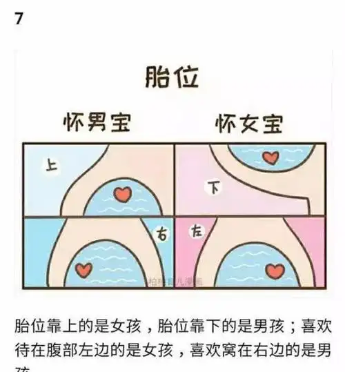 11张图对比怀男宝vs怀女宝的区别
