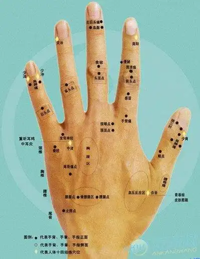 手上长痣面相图_手相面相_手相面相大全