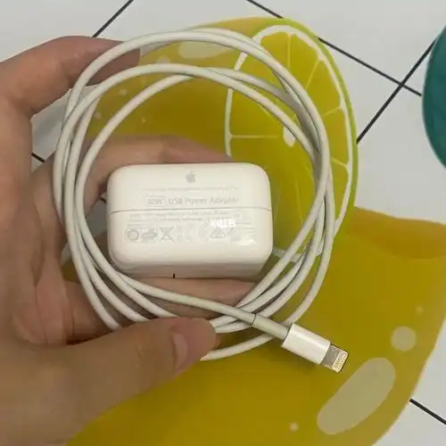 出ipad原装充电器10w