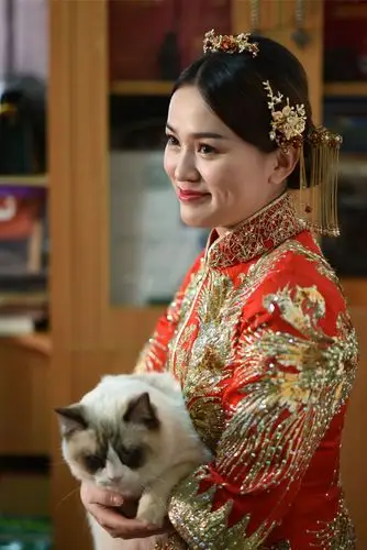 新娘子—陈曼璐的婚礼