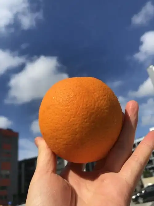 【海产品及水果】当季水果 埃及脐橙 新鲜大橙子 榨汁橙子 榨汁机器