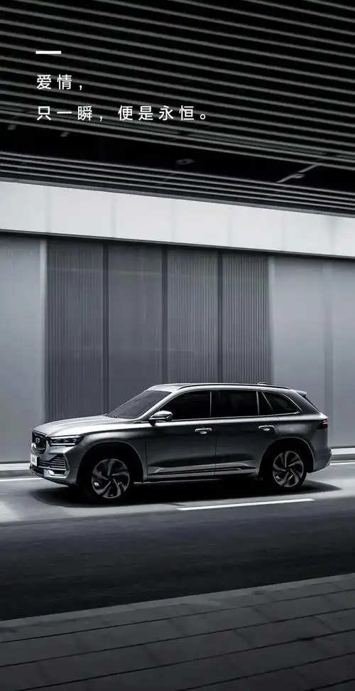 吉利星越l 你们提完车之后有没有加什么发动机护板?