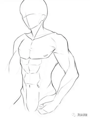 男生的腹肌到底要怎么画呢?我直接给你个好家伙!_肌肉