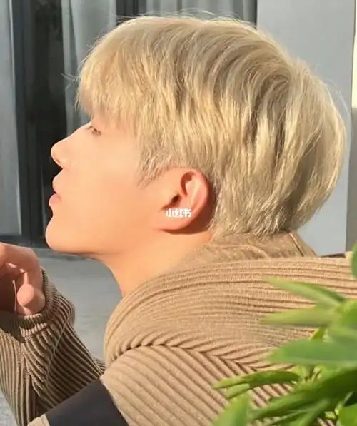 男士微分碎盖刘海  男生发型碎盖  一款简单