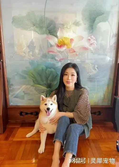 旺夫又聚财身家10亿住山顶豪宅|杨小娟|周海媚|邝美云_网易订阅