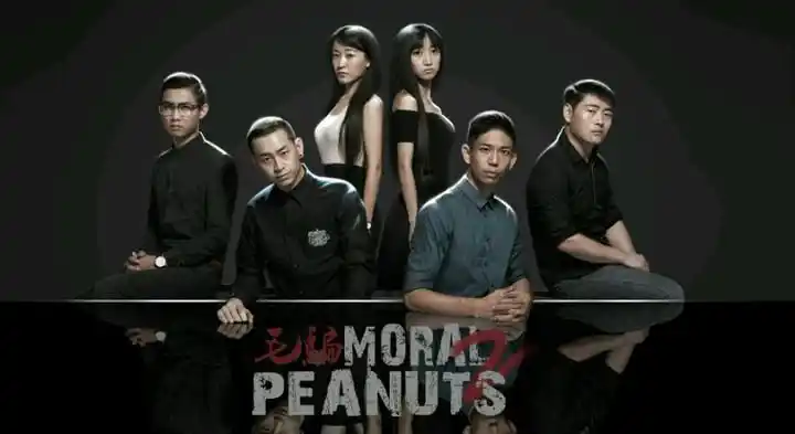 豆瓣评分最高的原创网络剧毛骗