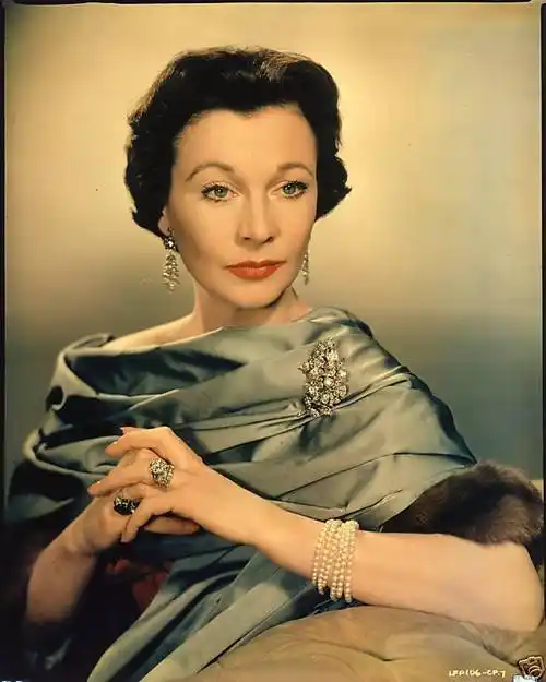 乱世佳人费雯丽图片集