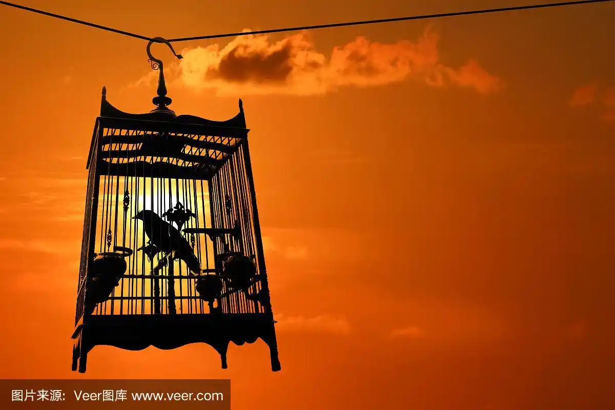 鸟笼剪影与红色的天空日落背景