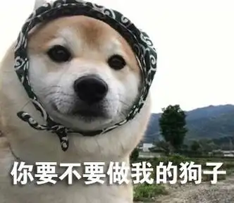 你要不要做我的狗子_狗子_不要表情