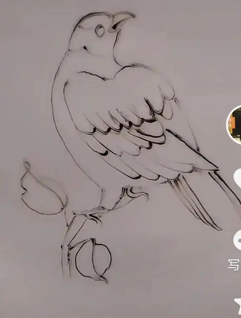 素描柒色果酱画小鸟,自拍留下最美的自己. - 抖音