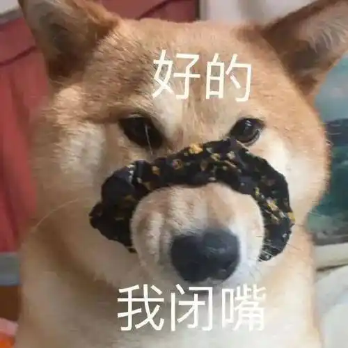 沙雕搞笑表情包:能不能先上dj_公众_黑夜_il