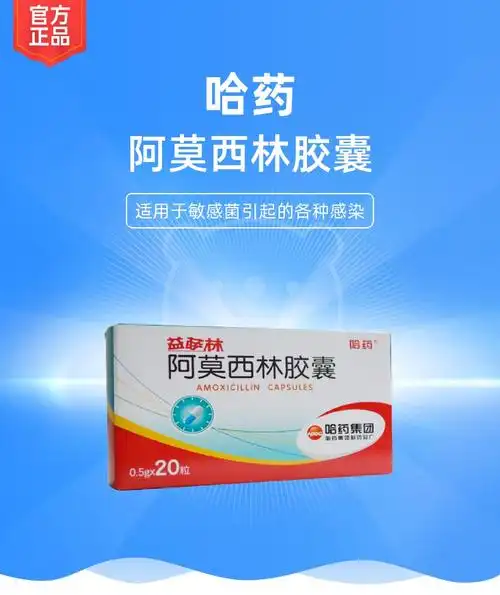 阿莫西林胶囊哈药
