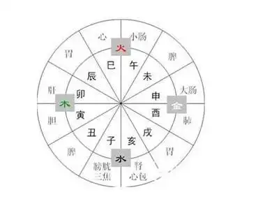 不过,除了午时出生的女孩很好命,其实也有其他时辰出生的女孩运气非常