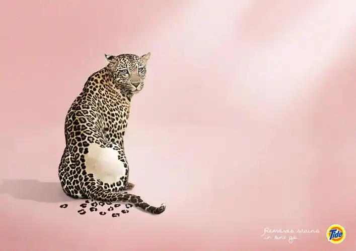 tide洗衣液平面广告欣赏