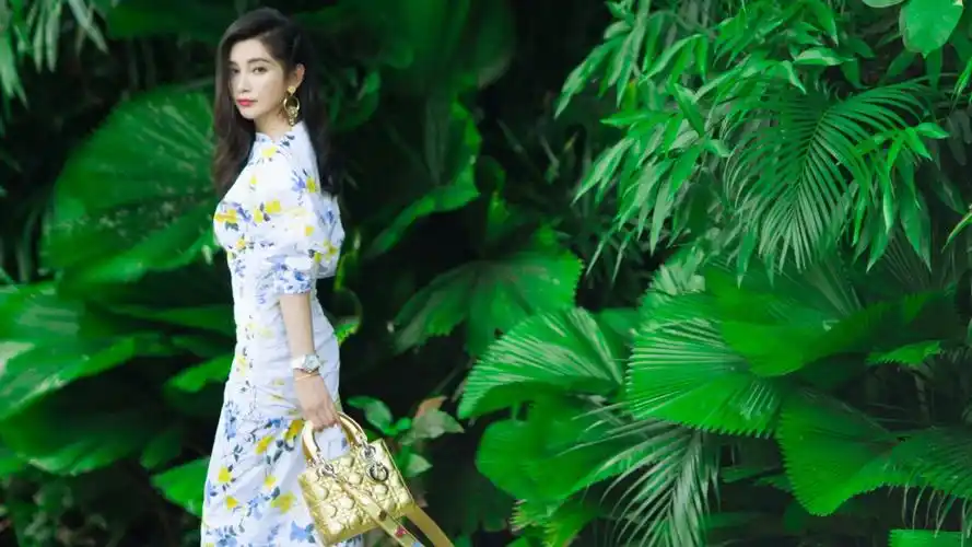 李冰冰最新唯美写真图片桌面壁纸