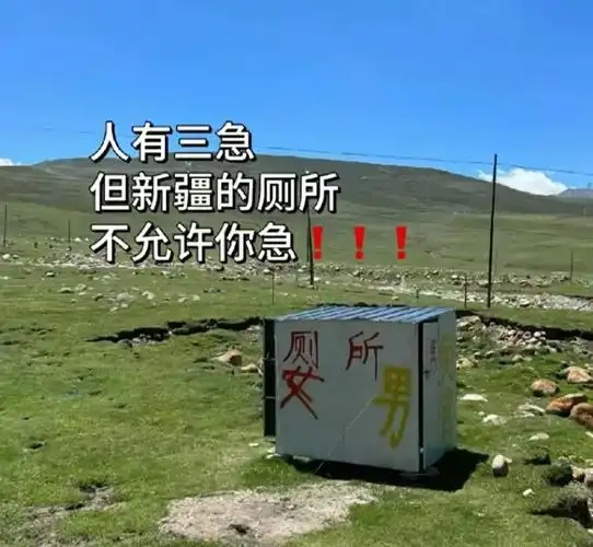 然而,近日一则关于阿勒泰旅游的趣闻却以其独特的视角和幽默感,成功冲