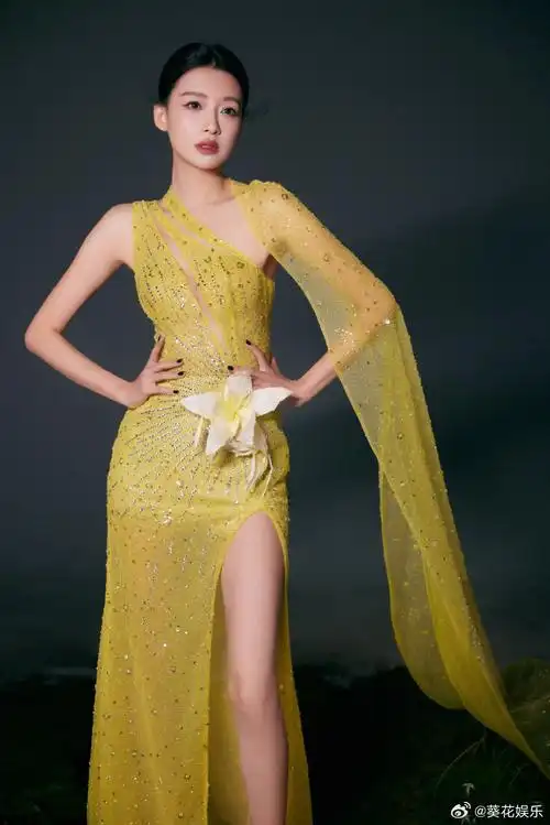 孙怡莫奈百合长裙##孙怡明黄薄纱裙