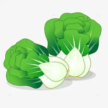 绿色小清新可爱白菜手绘矢量素材(1000x1000)aipng卡通土豆蔬菜手绘图