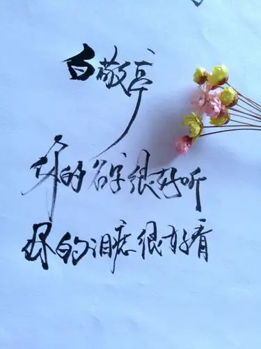 『岁月敬好,愿你一世安好』――致那个那个白敬亭呀