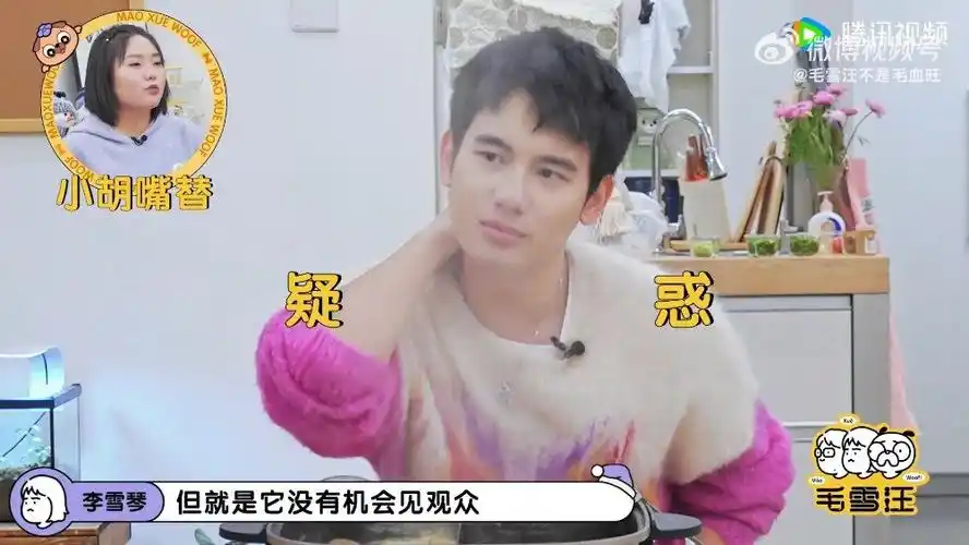 胡先煦不愿意上综艺的原因##毛雪汪