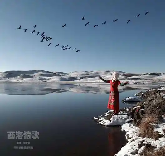 西海情歌的创作背景