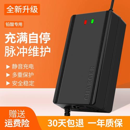 极速适用欧派电动车充电器电瓶车48v12a60v20a72v30a新国标小公插