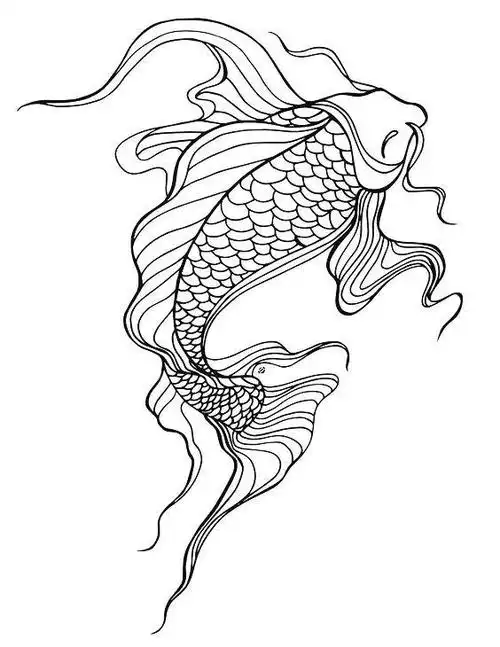锦鲤简笔画图片大全 - 简单简笔画