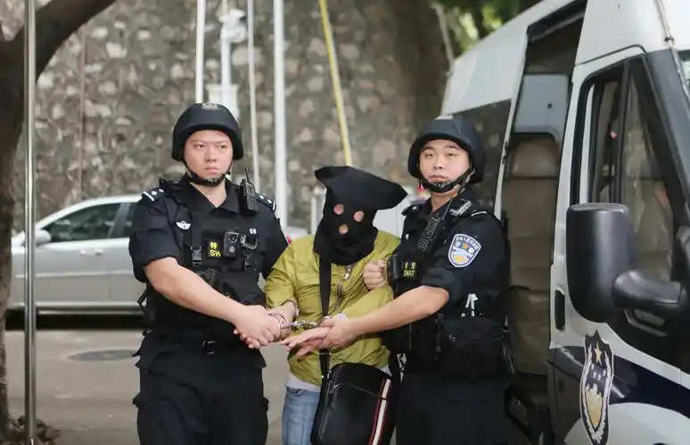 主要犯罪嫌疑人被捕