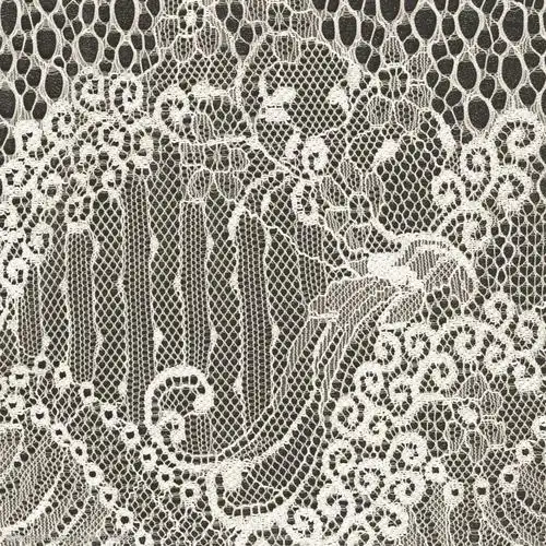 关键词:实物面料 蕾丝 免费素材 面料图库 服装图案 免费下载