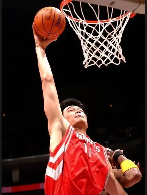 2米26的姚明都不行 历史仅5人做到_身高_博班_扣篮