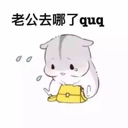 喊老公hamham仓鼠版表情包