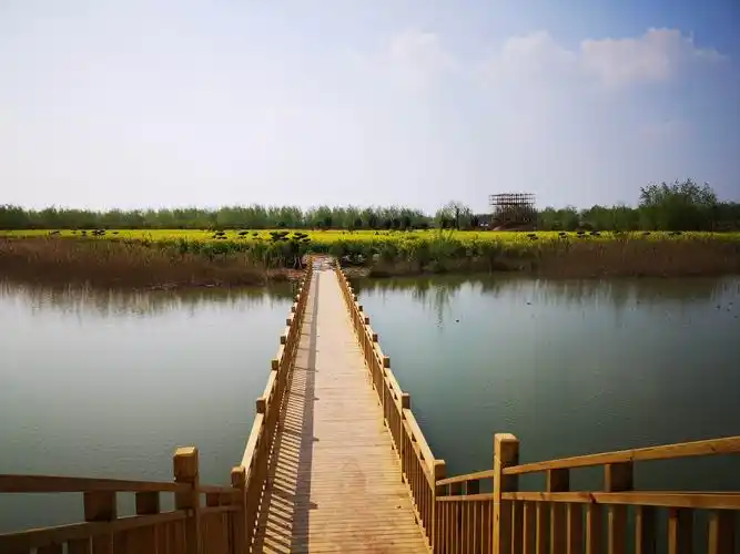 千娇百媚万般妖娆风姿绰约陈桥湿地公园