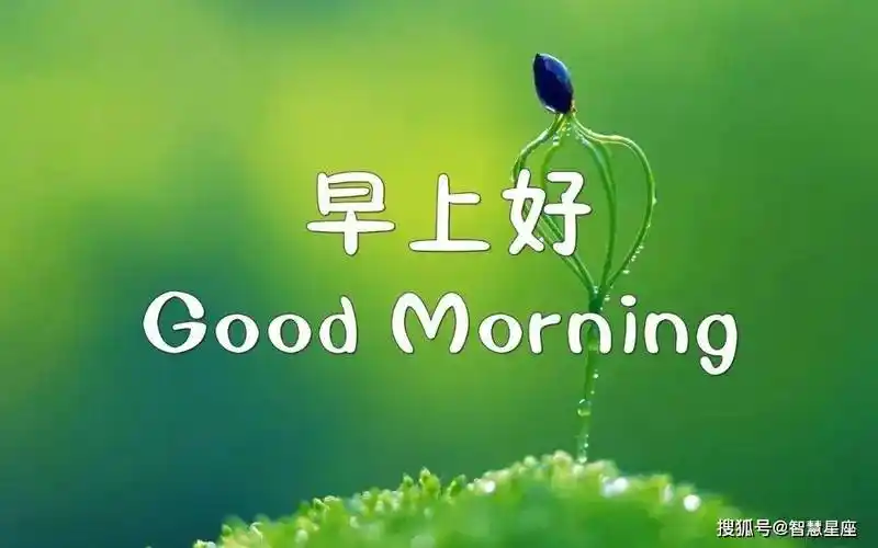 原创2021春季最新版漂亮早上好图片带字新的一天开始精美语句
