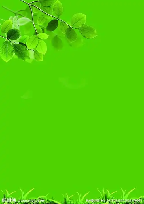 微信护眼聊天背景