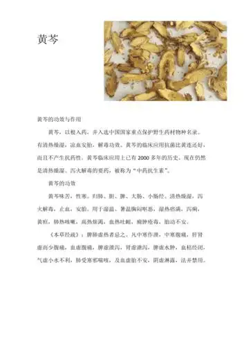 黄芩的功效与作用及禁忌
