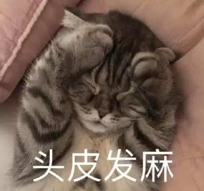 萌宠猫星人头皮发麻难受呆萌可爱gif动图_动态图_表情包下载_soogif