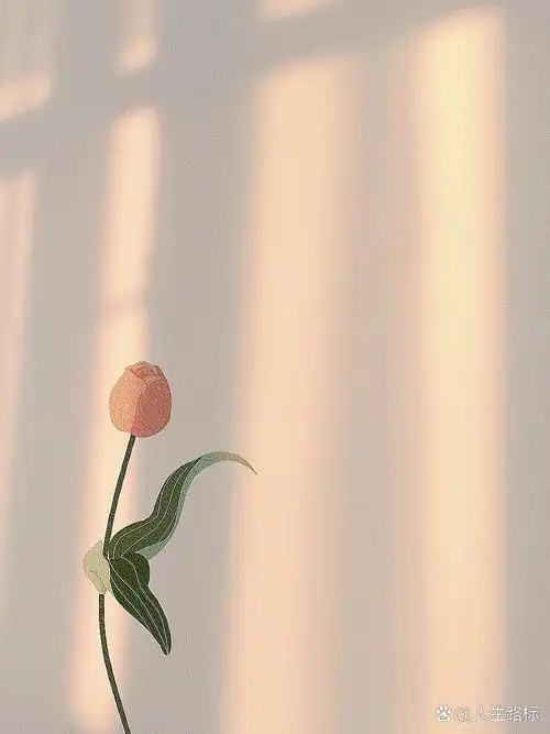 朋友圈高清极简 | 干净高级感背景图,壁纸