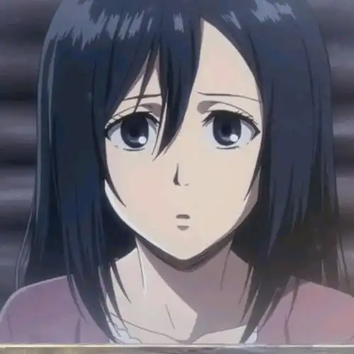 进击的巨人【三笠 阿克曼】头像精选_网络