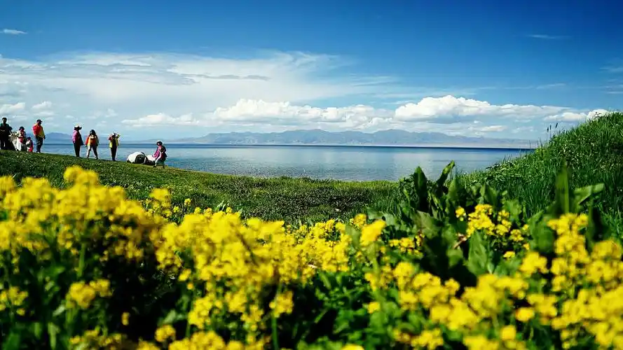 夏天的风光亚克西之四) 写美篇赛里木湖,绝对是新疆伊犁风景线上最