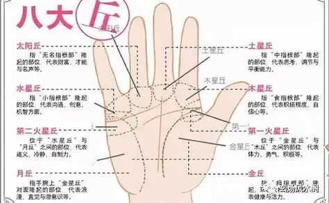 扫一扫测手相 扫一扫测手相面相算命