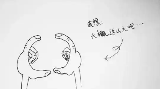 大概就是这么多吧