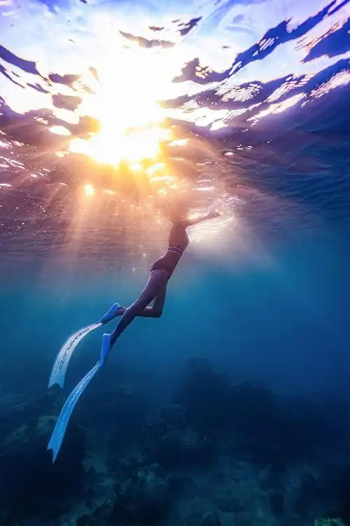 带你免费拍一组水下珊瑚写真如何